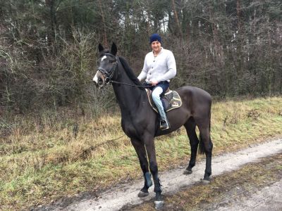 3c9bf9a7-9abb-443b-a614-360e4fd573d9